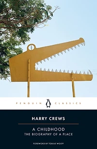 a Childhood: The Biography of Place