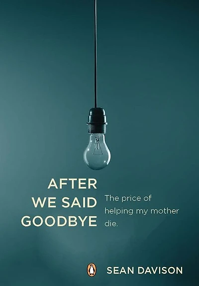 After We Said Goodbye