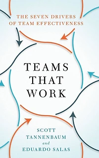 Teams That Work: The Seven Drivers of Team Effectiveness