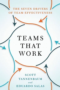 Teams That Work: The Seven Drivers of Team Effectiveness