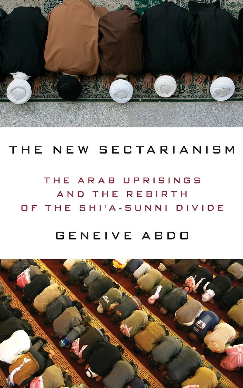 the New Sectarianism: Arab Uprisings and Rebirth of Shi'a-Sunni Divide