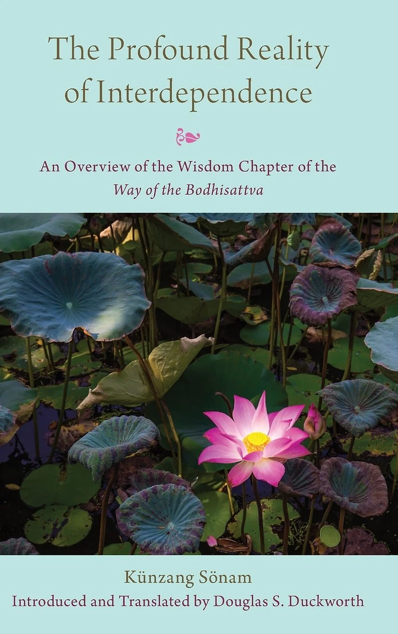 the Profound Reality of Interdependence: An Overview Wisdom Chapter Way Bodhisattva