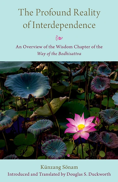 the Profound Reality of Interdependence: An Overview Wisdom Chapter Way Bodhisattva