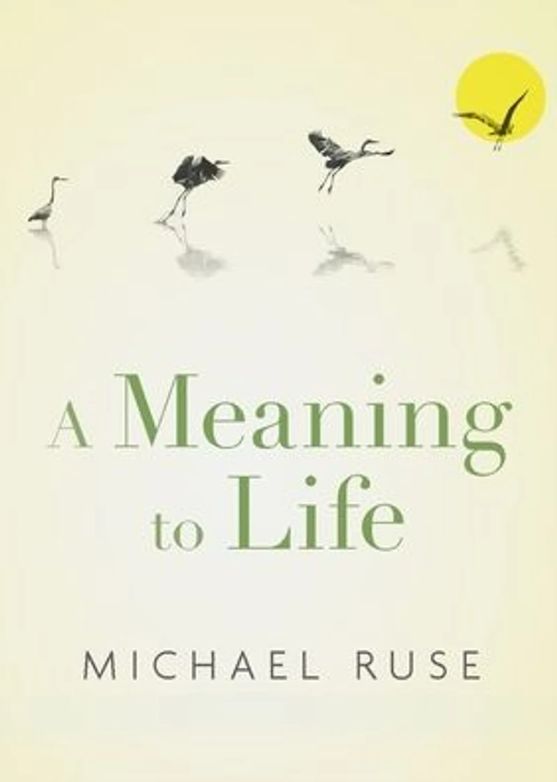 A Meaning to Life