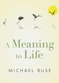 A Meaning to Life