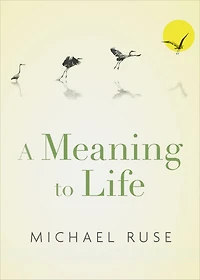 A Meaning to Life