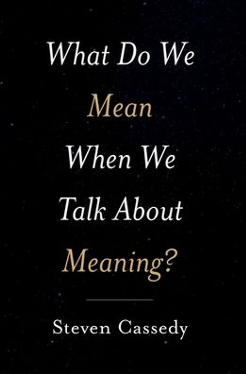 What Do We Mean When Talk about Meaning?