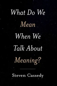 What Do We Mean When Talk about Meaning?