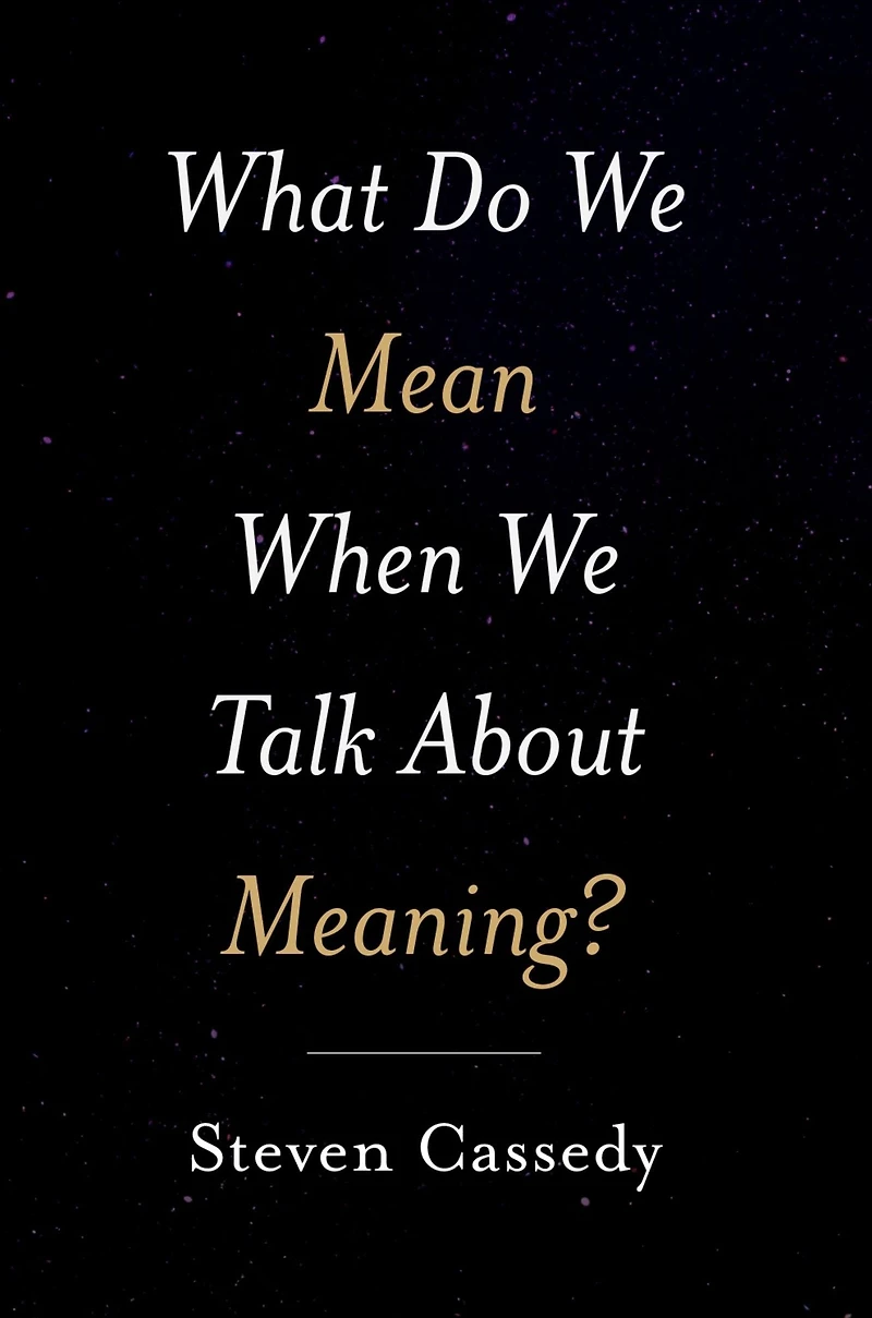 What Do We Mean When Talk about Meaning?