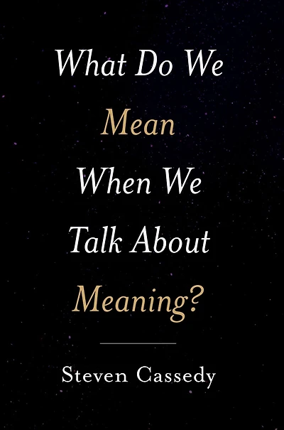 What Do We Mean When Talk about Meaning?