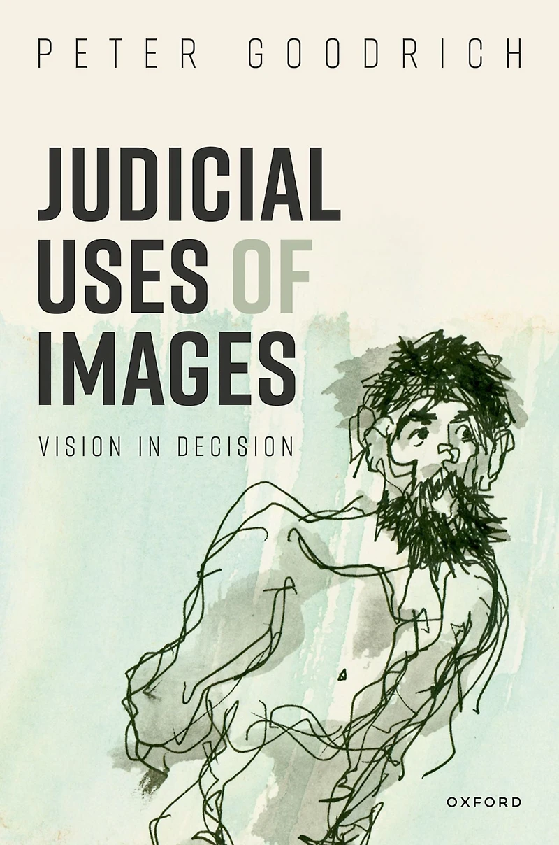 Judicial Uses of Images: Vision Decision