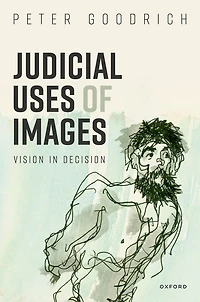 Judicial Uses of Images: Vision Decision