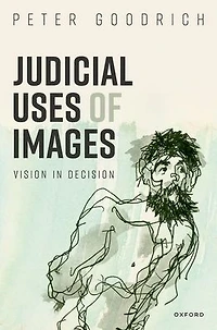 Judicial Uses of Images: Vision Decision