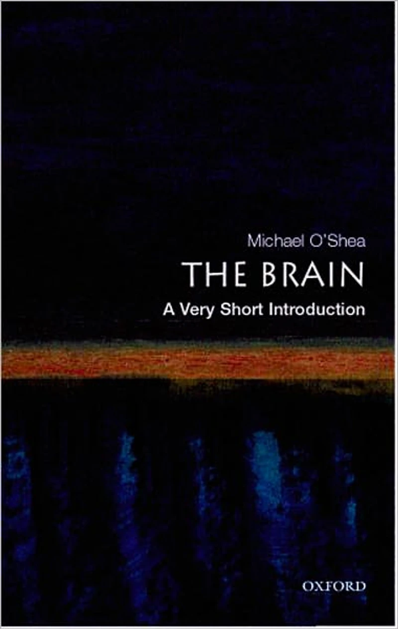The Brain: A Very Short Introduction