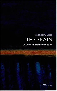 The Brain: A Very Short Introduction