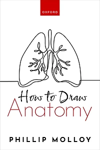 How To Draw Anatomy