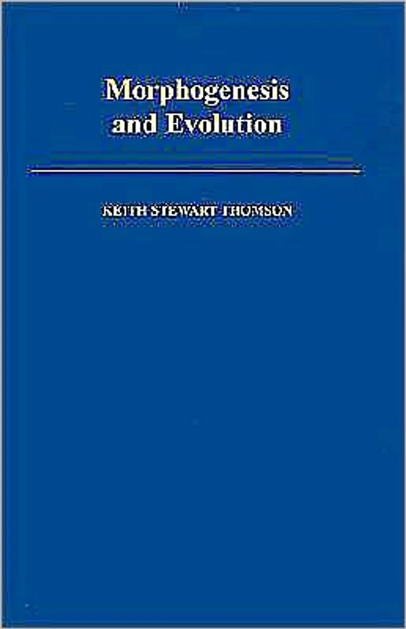 Morphogenesis and Evolution