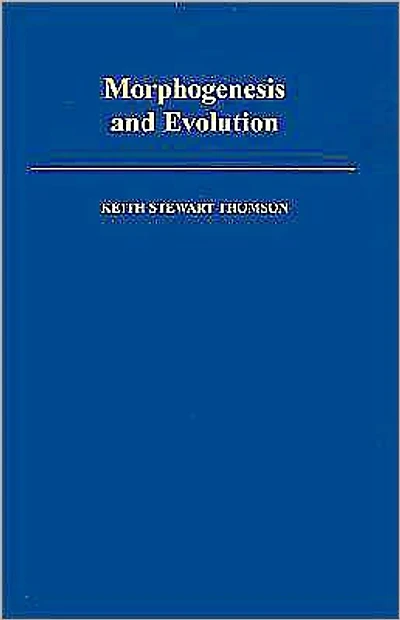 Morphogenesis and Evolution