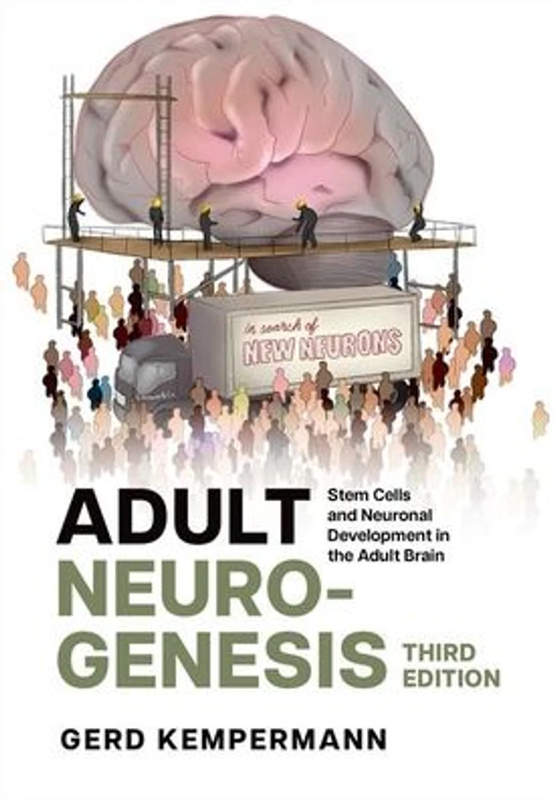 Adult Neurogenesis: Stem Cells and Neuronal Development the Brain