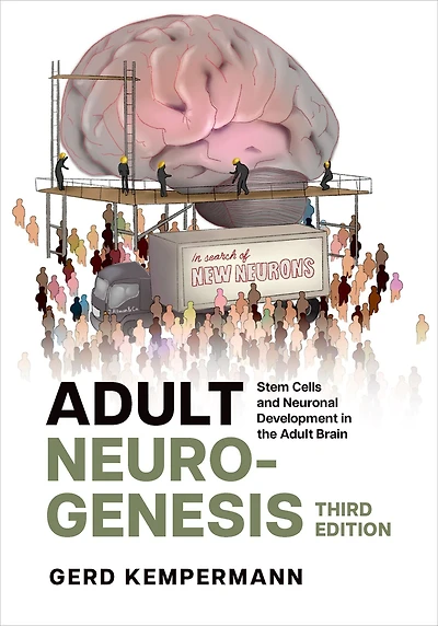 Adult Neurogenesis: Stem Cells and Neuronal Development the Brain