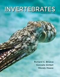 Invertebrates
