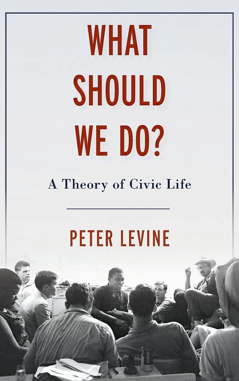 What Should We Do?: A Theory of Civic Life