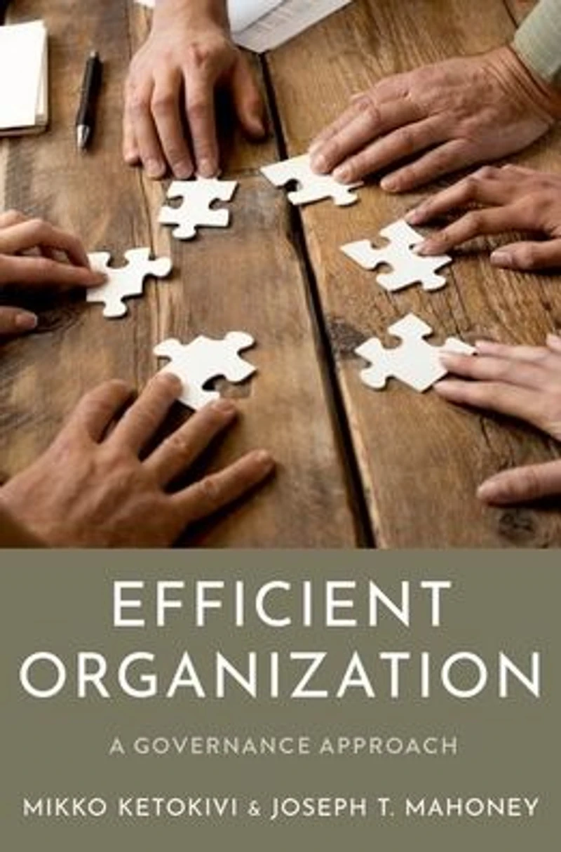 Efficient Organization: A Governance Approach