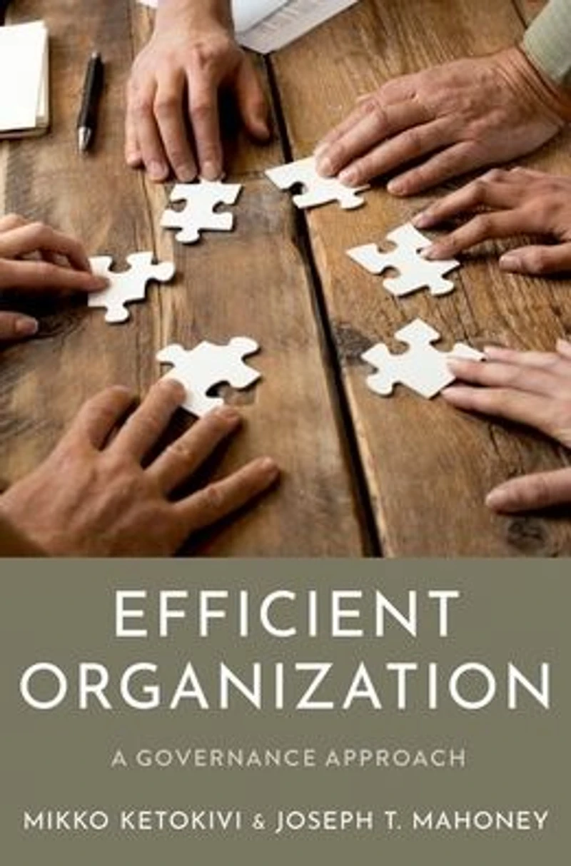 Efficient Organization: A Governance Approach