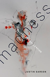 Madness: A Philosophical Exploration