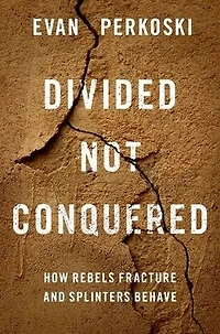 Divided Not Conquered: How Rebels Fracture and Splinters Behave