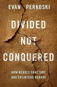 Divided Not Conquered: How Rebels Fracture and Splinters Behave