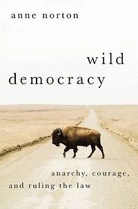 Wild Democracy: Anarchy, Courage, and Ruling the Law