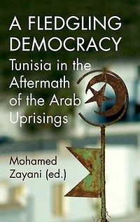 A Fledgling Democracy: Tunisia the Aftermath of Arab Uprisings