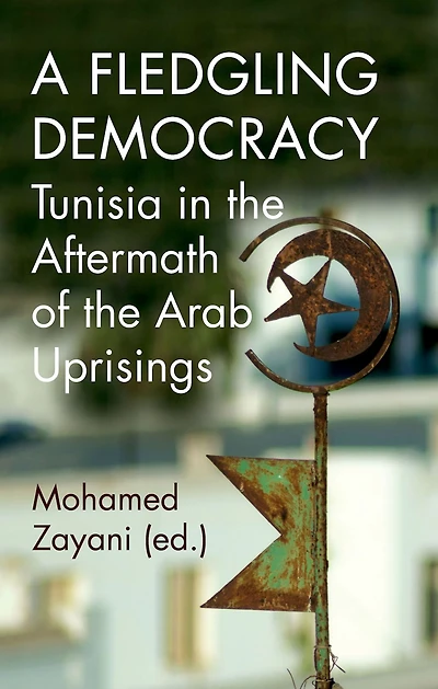A Fledgling Democracy: Tunisia the Aftermath of Arab Uprisings