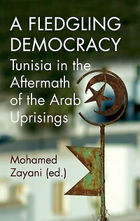 A Fledgling Democracy: Tunisia the Aftermath of Arab Uprisings