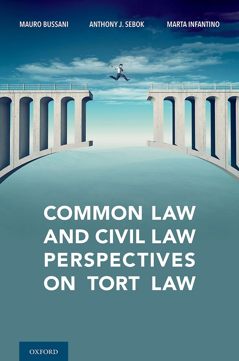 Common Law and Civil Perspectives on Tort