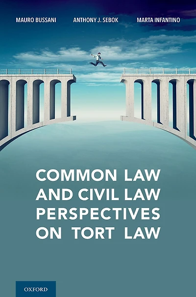 Common Law and Civil Perspectives on Tort