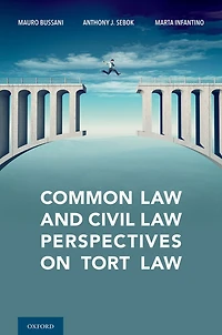 Common Law and Civil Perspectives on Tort