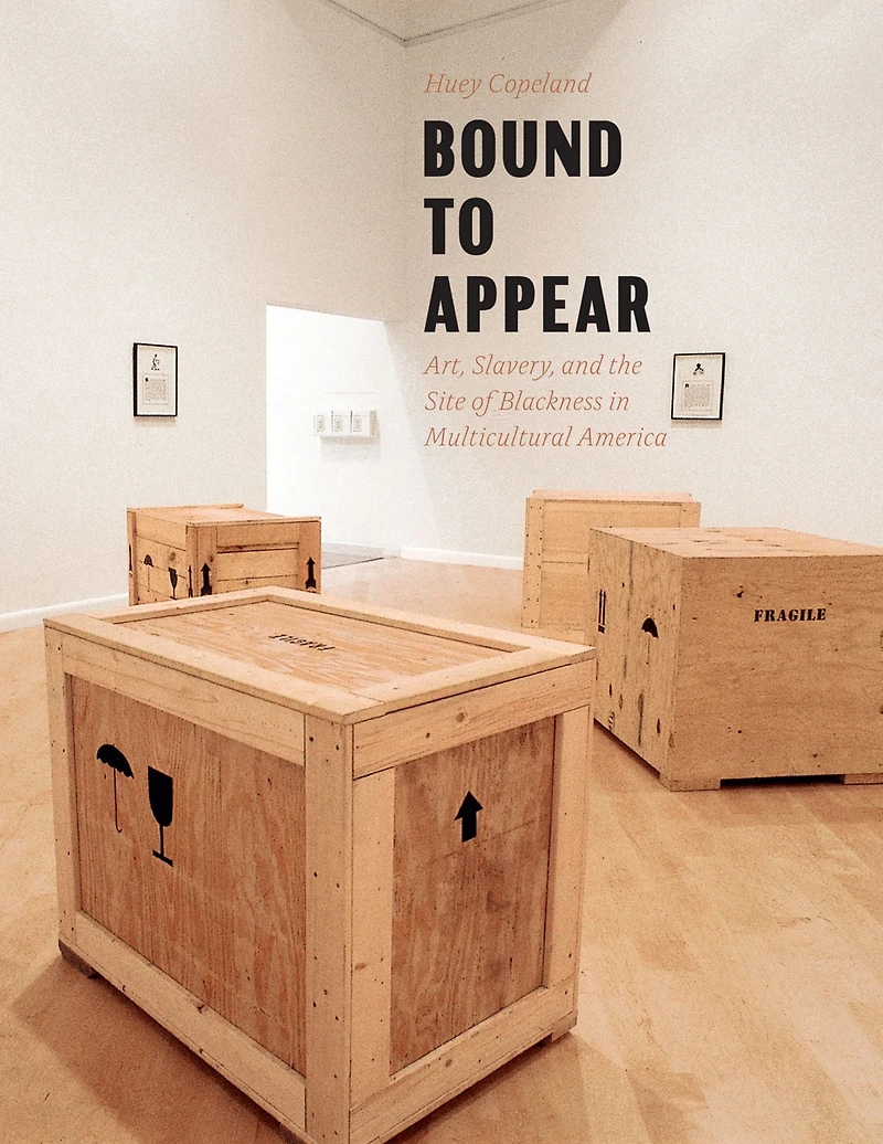 Bound to Appear: Art, Slavery, and the Site of Blackness Multicultural America