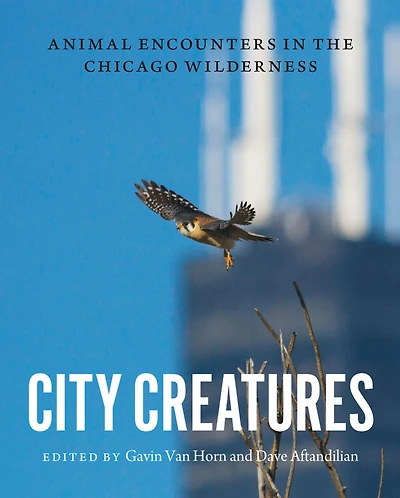 City Creatures: Animal Encounters the Chicago Wilderness