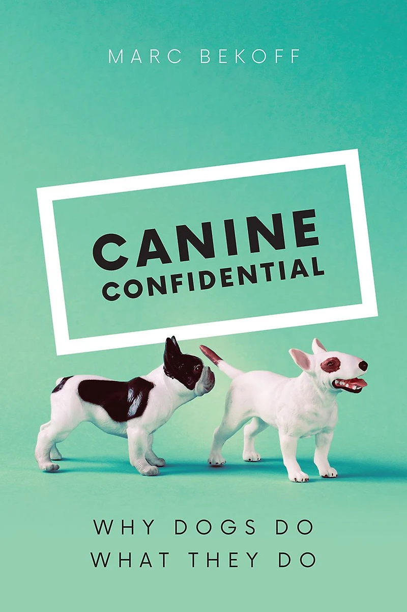 Canine Confidential: Why Dogs Do What They