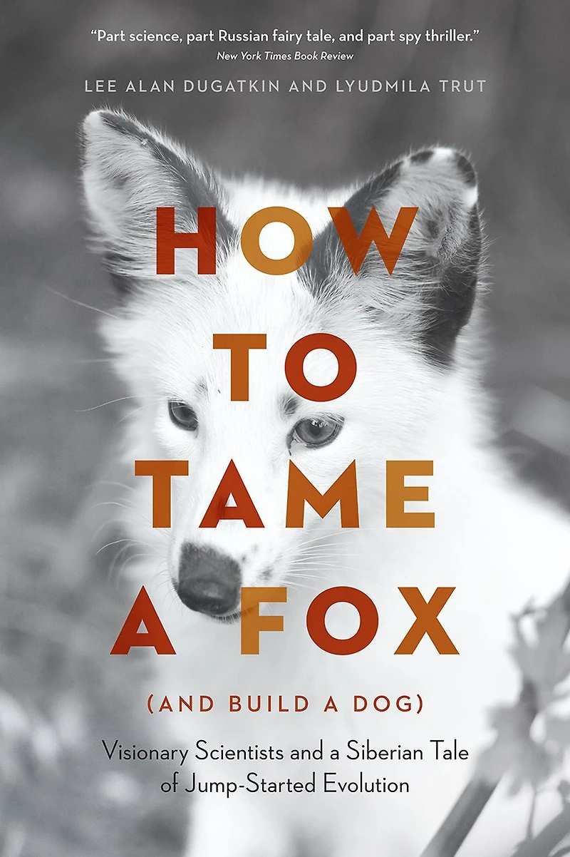 How to Tame a Fox (and Build Dog): Visionary Scientists and Siberian Tale of Jump-Started Evolution