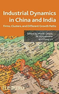 Industrial Dynamics China and India: Firms, Clusters, Different Growth Paths