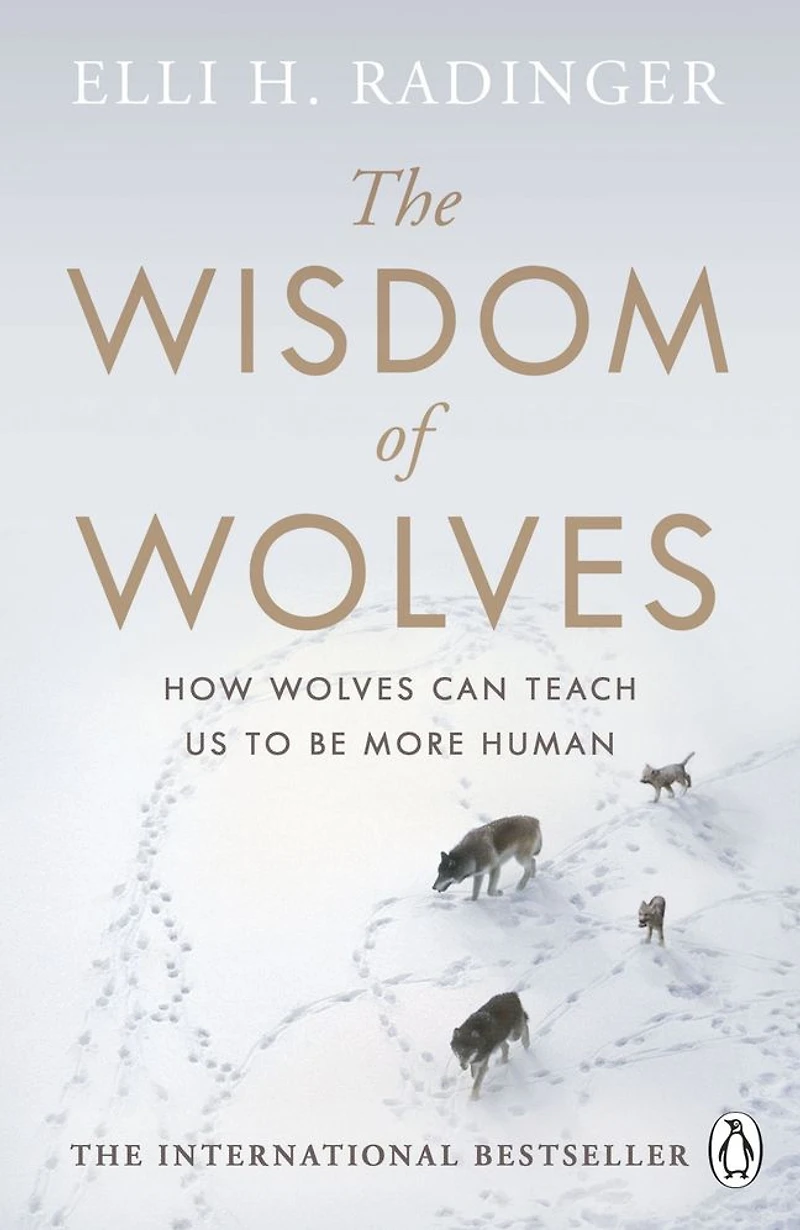 The Wisdom of Wolves: How Wolves Can Teach Us To Be More Human