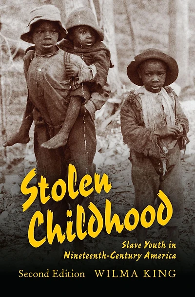 Stolen Childhood, Second Edition: Slave Youth Nineteenth-Century America