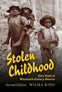 Stolen Childhood, Second Edition: Slave Youth Nineteenth-Century America