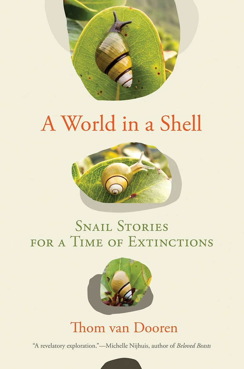 a World Shell: Snail Stories for Time of Extinctions