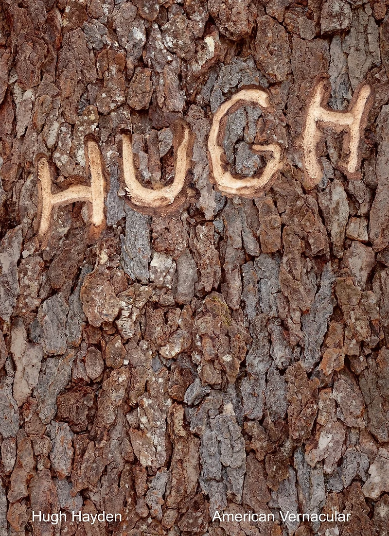 Hugh Hayden: American Vernacular