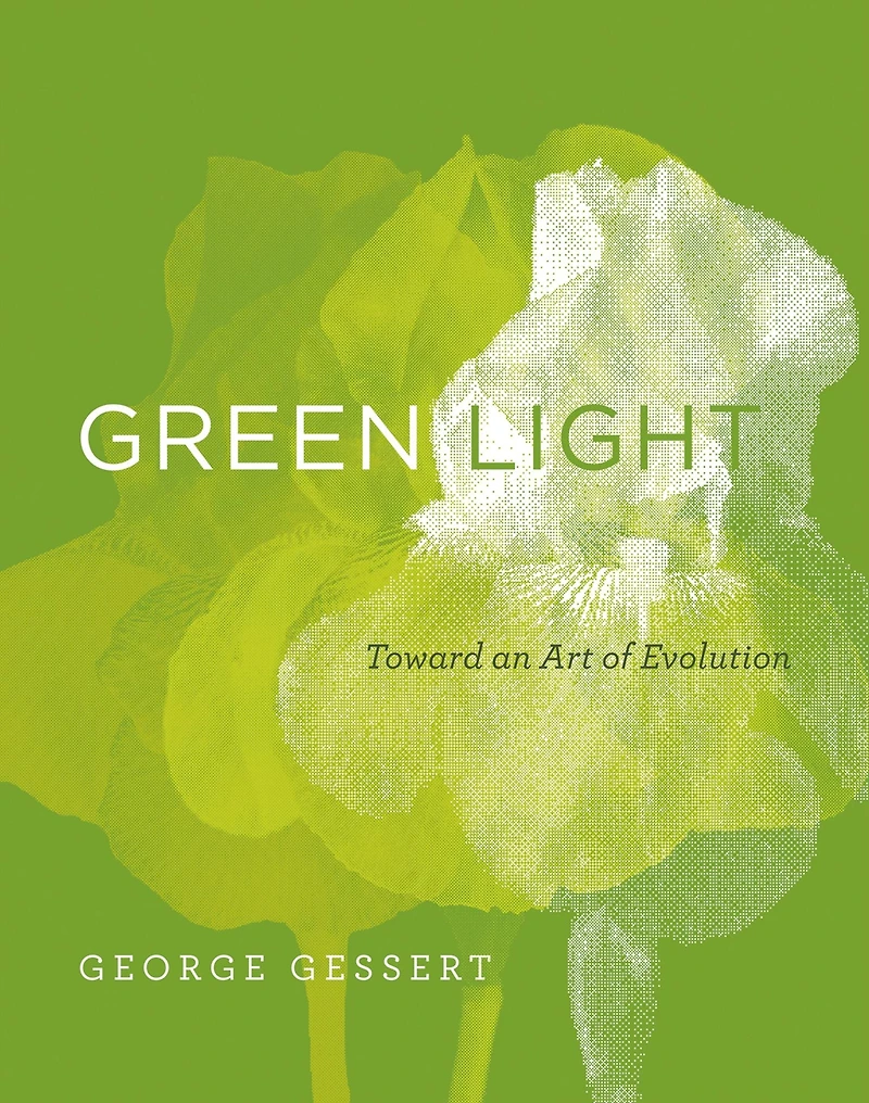 Green Light: Toward an Art of Evolution
