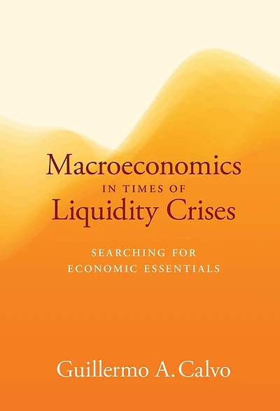 Macroeconomics Times of Liquidity Crises: Searching for Economic Essentials